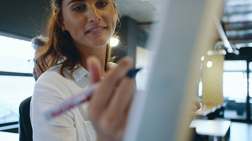 Businesswoman explaining the project to her team