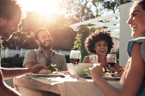 Friends having good times in alfresco party