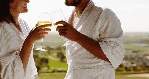 Couple toasting wine at home