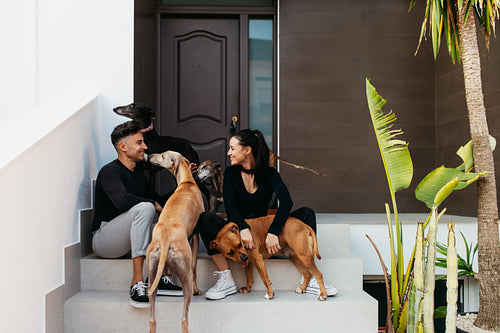 Happy couple sitting on the porch with their dogs