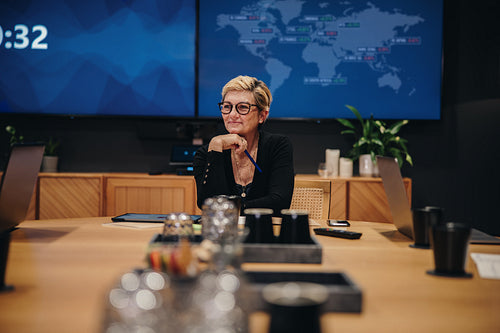 CEO in boardroom meeting