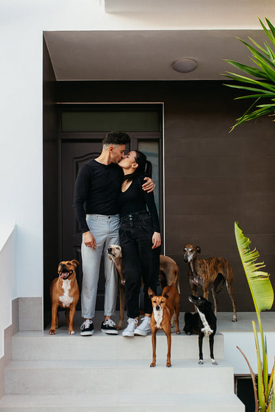 Loving couple kissing while standing with their dogs