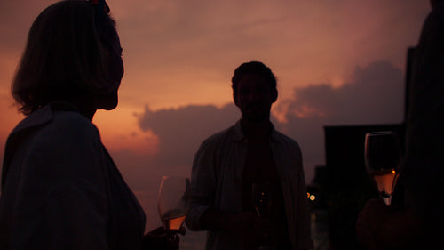 Friends clinking glasses during a beautiful sunset celebration