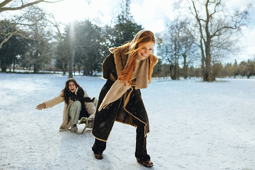 Friends ride a sled in a sunny winter park