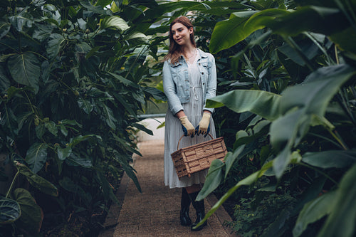 Gardener with basket standing in greenhouse