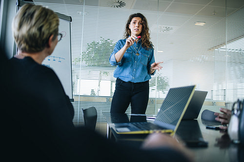 Businesswoman explaining plans to colleagues in a presentation
