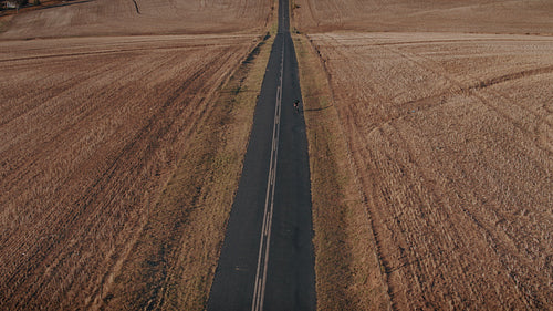 Sportsman riding a bicycle uphill on empty road