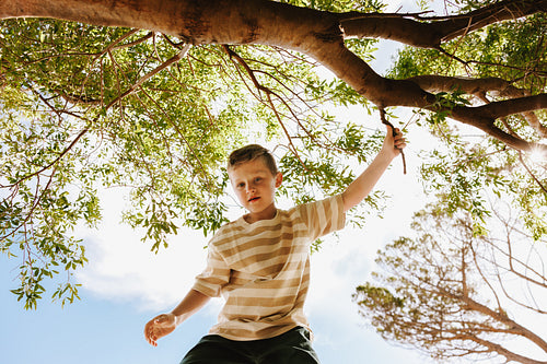 Young boy climbing a tree branch in a sunny outdoor setting