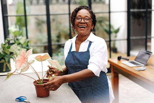 Experienced female florist watering a flower plant in her shop
