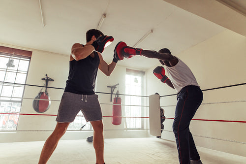 Fighter striking the focus mitts held by his personal trainer