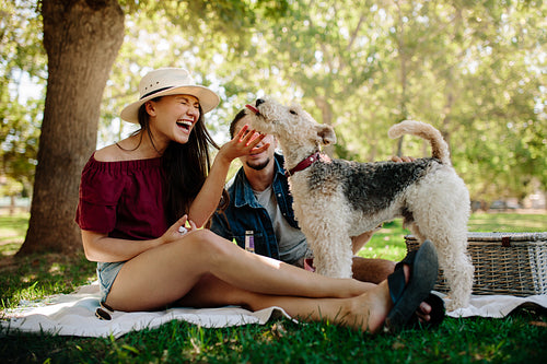 Couple having fun with their pet on picnic