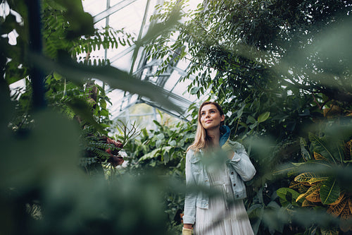 Woman working in a garden center