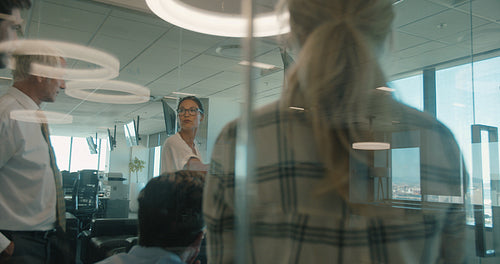 Businesswoman explaining business strategy in meeting