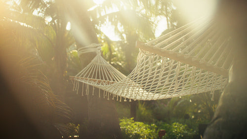Peaceful morning light illuminates empty hammocks in a tranquil tropical resort setting