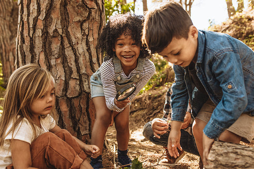 Cute kids with magnifying glass in forest