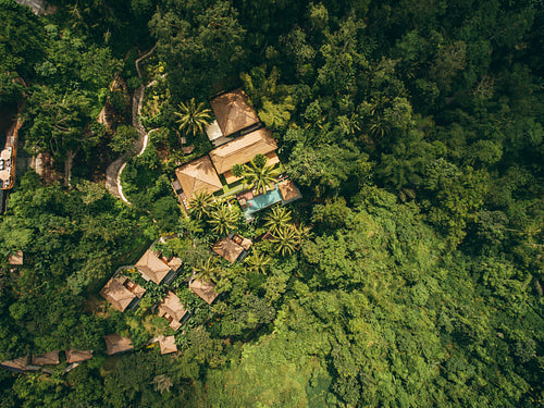 Luxury resort in forest surrounded by trees