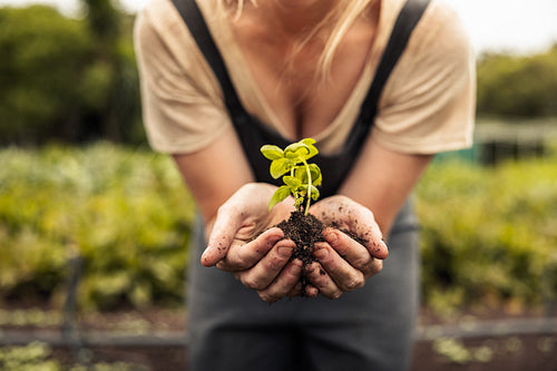 Young woman holding a green plant growing in soil