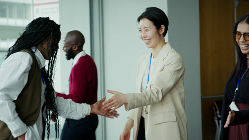 Professional women shaking hands to welcome a business associate.