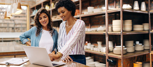 Young female ceramists using a laptop together in their store