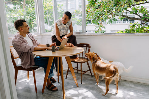 Gay couple working from home with rescue dogs in a cozy living space