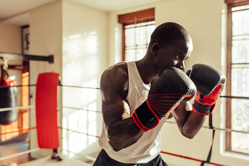 Young boxer training in a gym