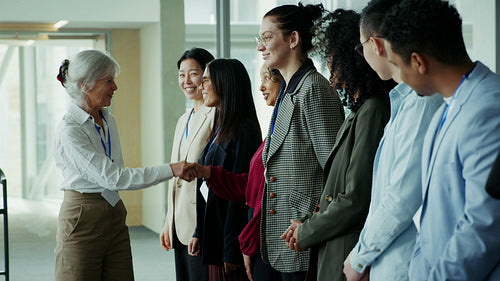 Business professional shaking hands with colleagues