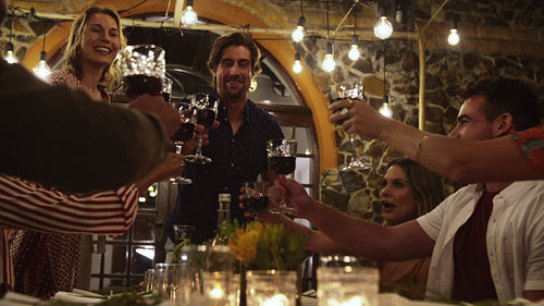 Friends raising a toast at dinner party