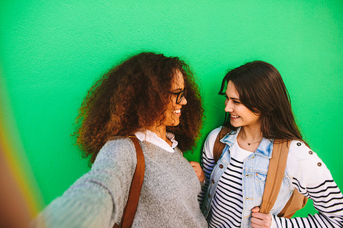Cheerful girls travelers taking a selfie