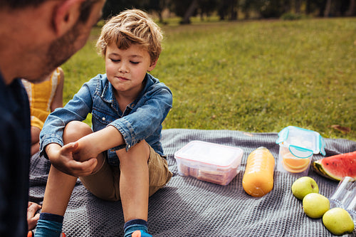 Father consoling his son at picnic in park