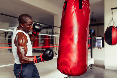 Sweaty young boxer working out at the gym
