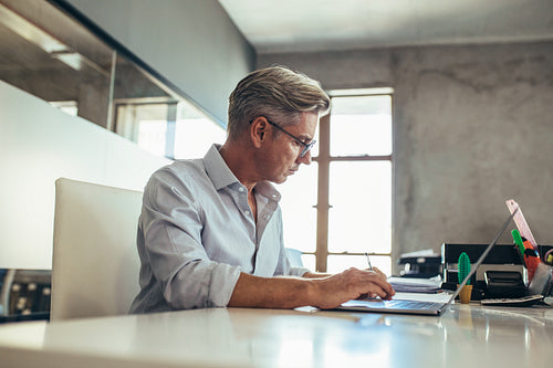 Businessman working at his desk