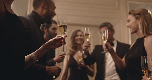 Friends toasting and drinking wine at the party