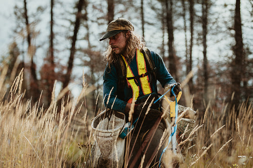 Tree planter working in forest