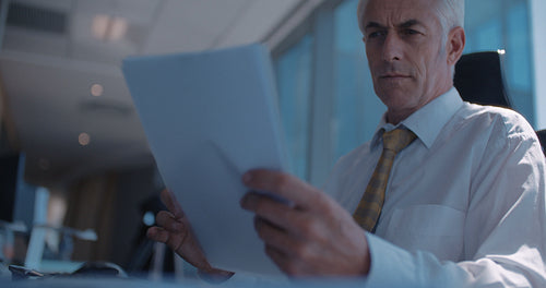 Mature businessman working at his desk