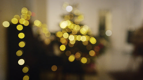 Family having Christmas dinner in warm cozy home