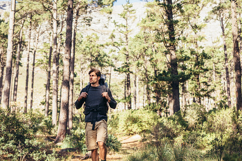 Man with a backpack walking in forest