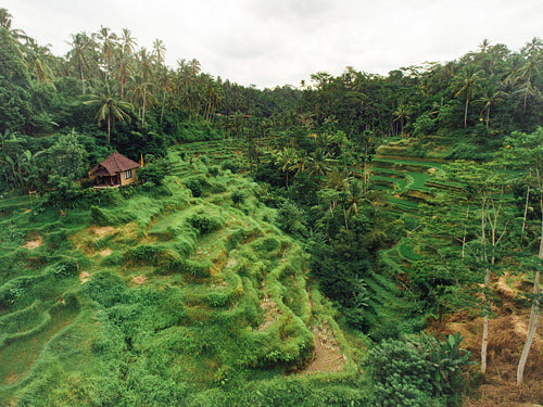 Terraced fields in a village