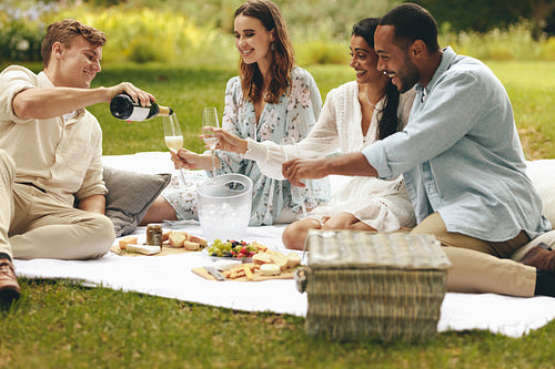 Group of friends having champagne at a high-end  picnic