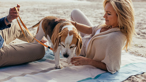 Mature couple relaxing on beach with a puppy