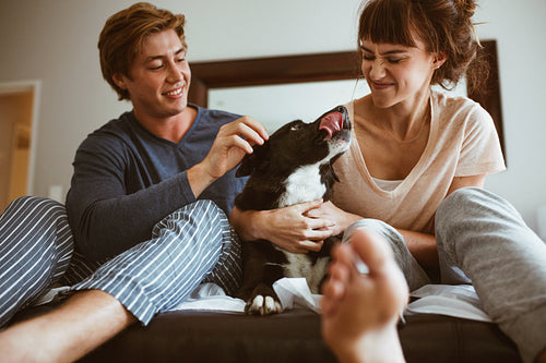 Couple sitting on bed with their pet