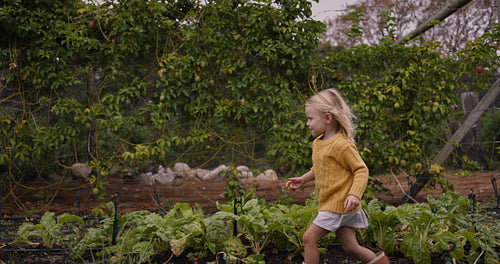 Cute little girl running behind her mom and brother on a farm