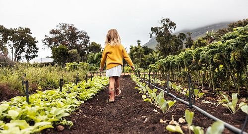 Blonde kid walking through an organic farm