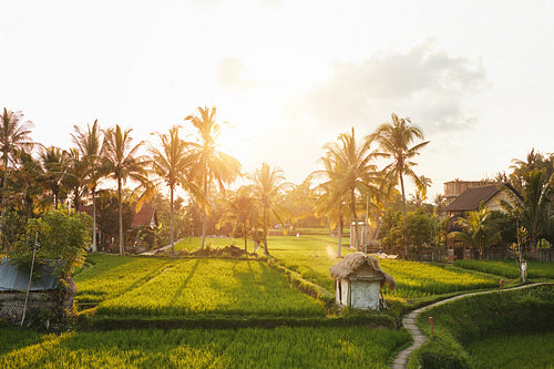 Beautiful village with green farm land