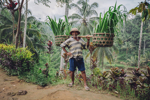 Confident old farmer carrying seedlings on his shoulders