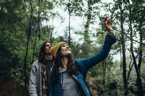 Couple looking up at the trees in forest
