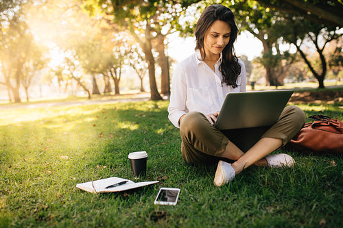 Freelancer working on laptop on green lawn in park