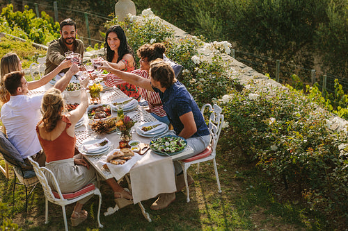 Group of friends toasting wine at dinner party