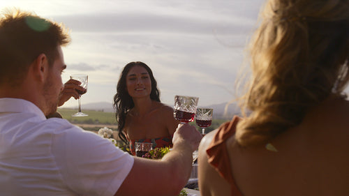 Friends celebrating a special occasion with wine