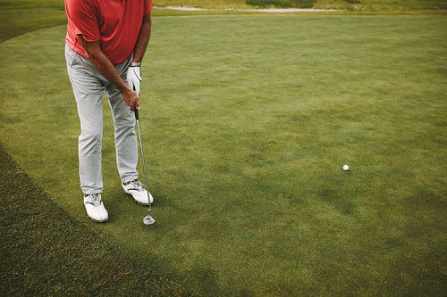 Golf player putting on green