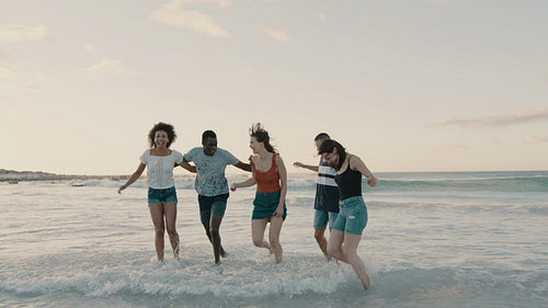 Diverse group of friends enjoying at the beach